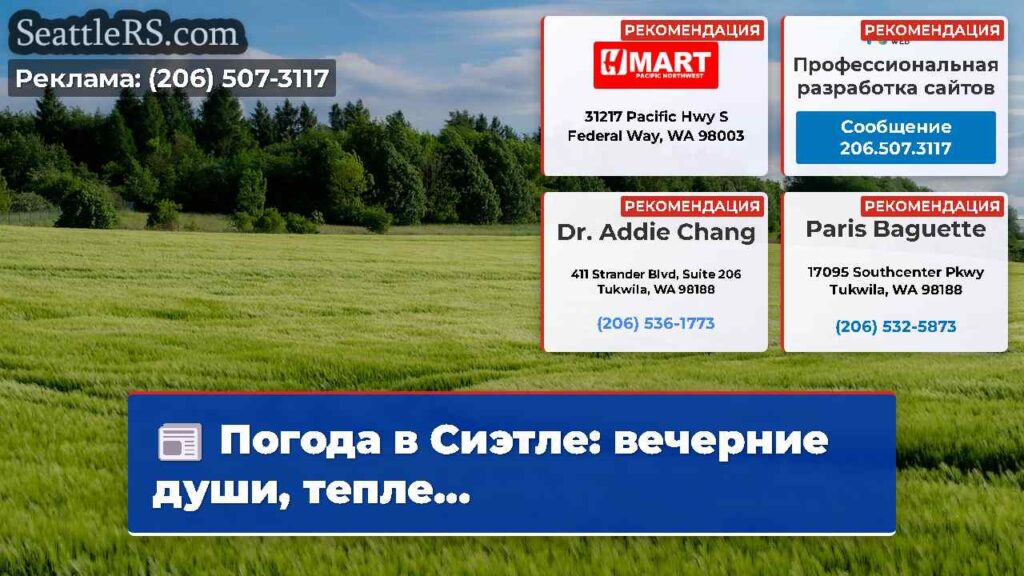 Погода в Сиэтле: вечерние души, тепле...