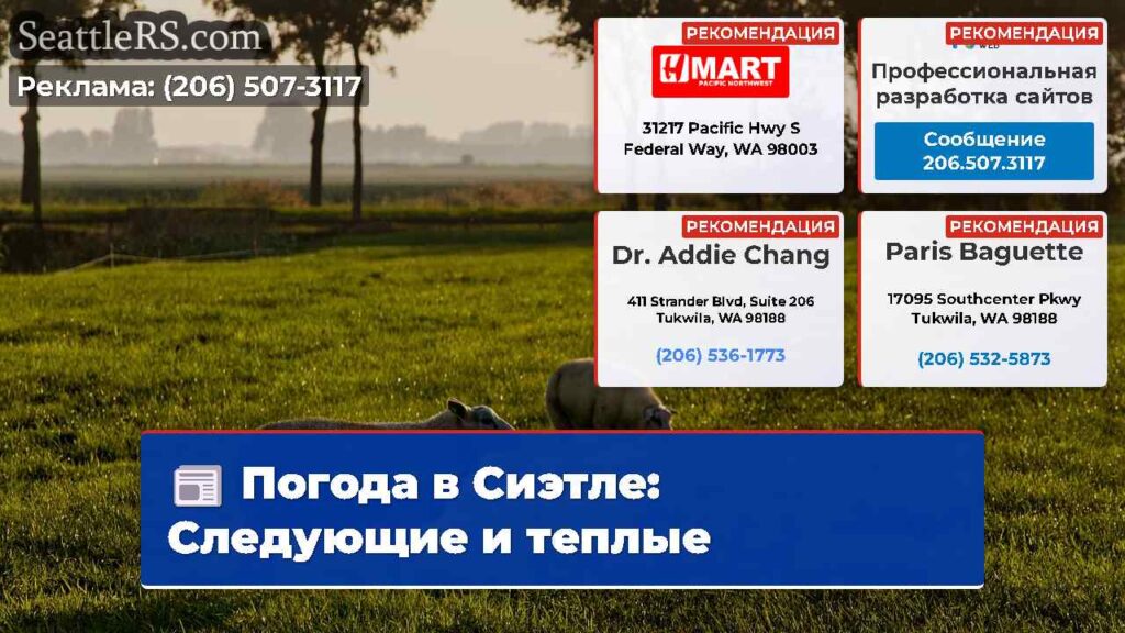 Погода в Сиэтле: Следующие и теплые