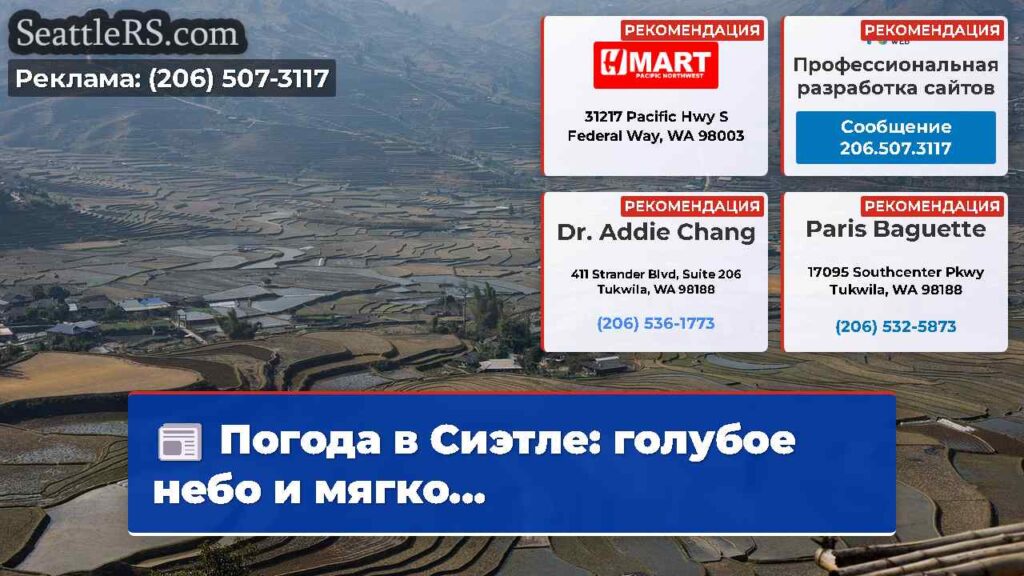 Погода в Сиэтле: голубое небо и мягко...