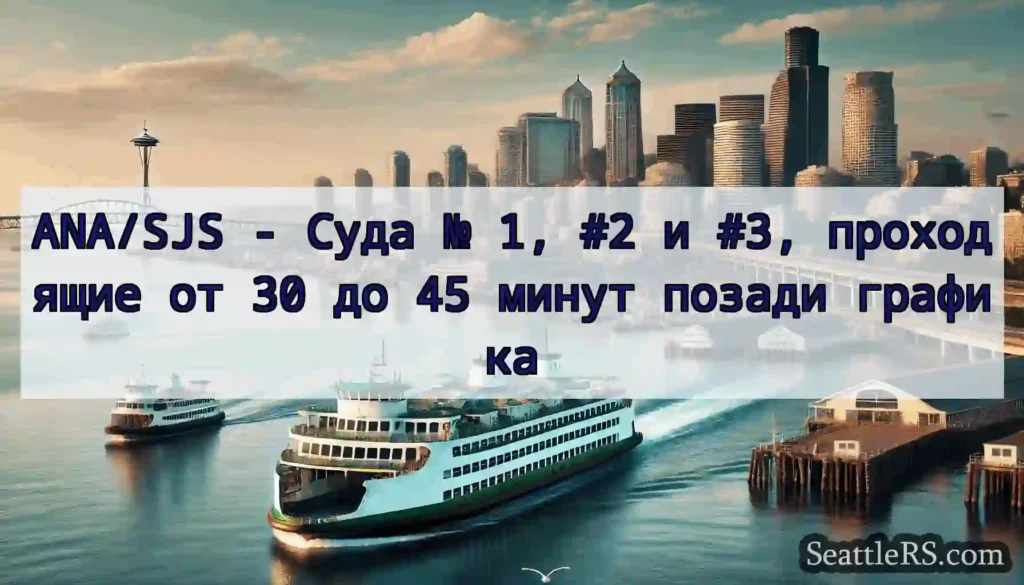 ANA/SJS - Суда № 1, #2 и #3, проходящие от 30 до