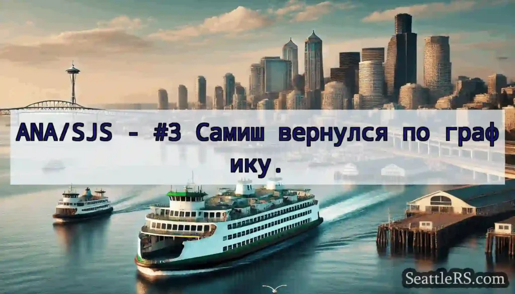 ANA/SJS - #3 Самиш вернулся по