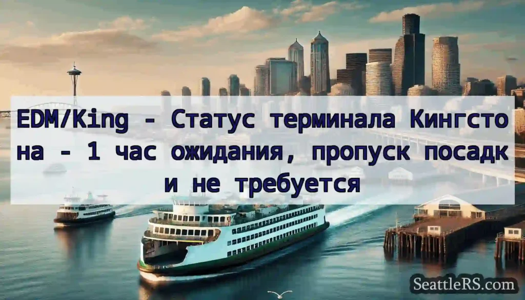 EDM/King - Статус терминала Кингстона - 1 час