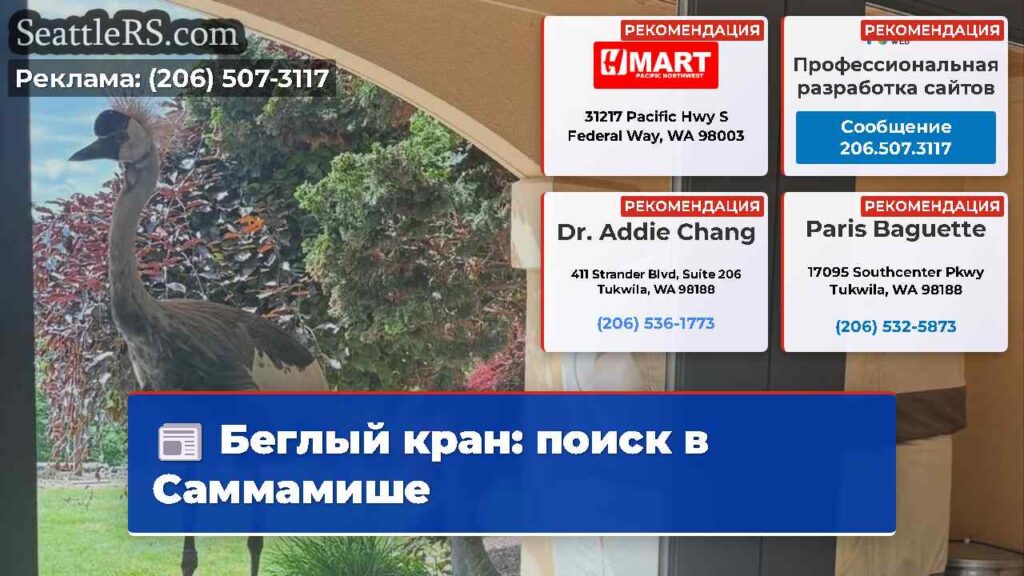 Беглый кран: поиск в Саммамише