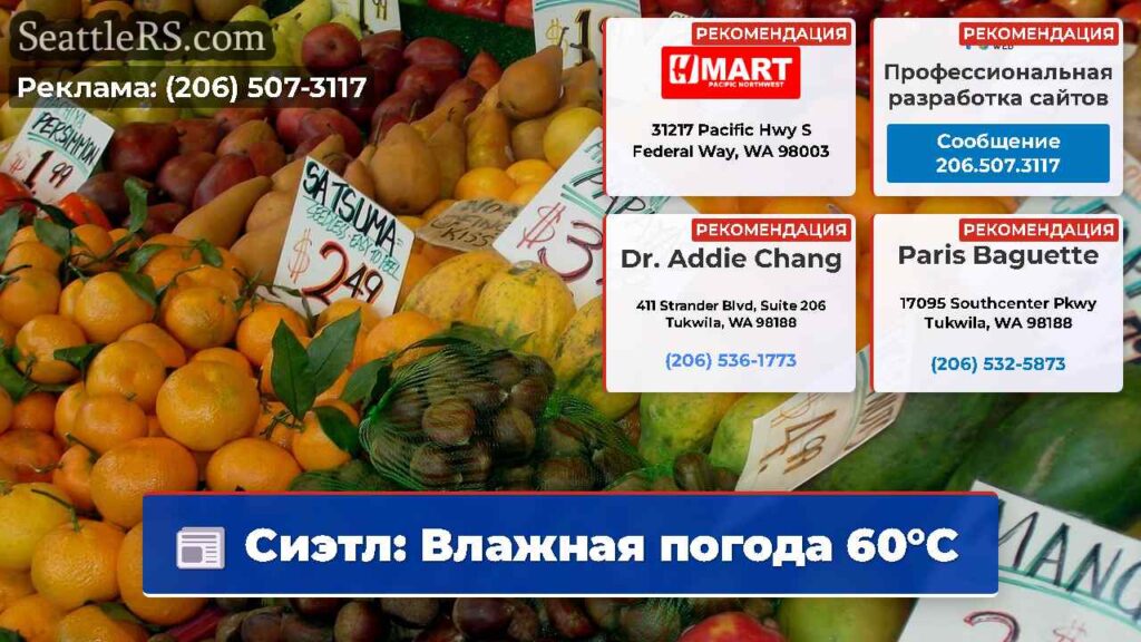Сиэтл: Влажная погода 60°C