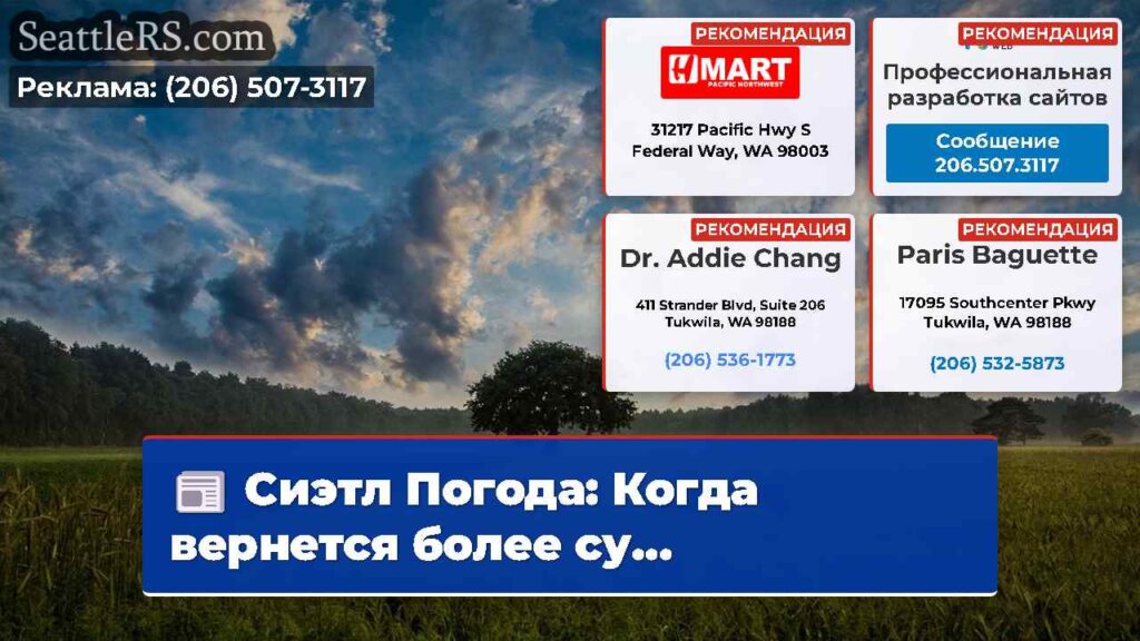 Сиэтл Погода: Когда вернется более су...