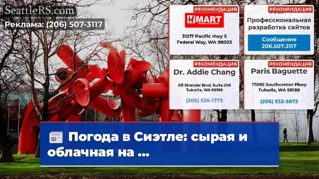 Погода в Сиэтле: сырая и облачная на ...