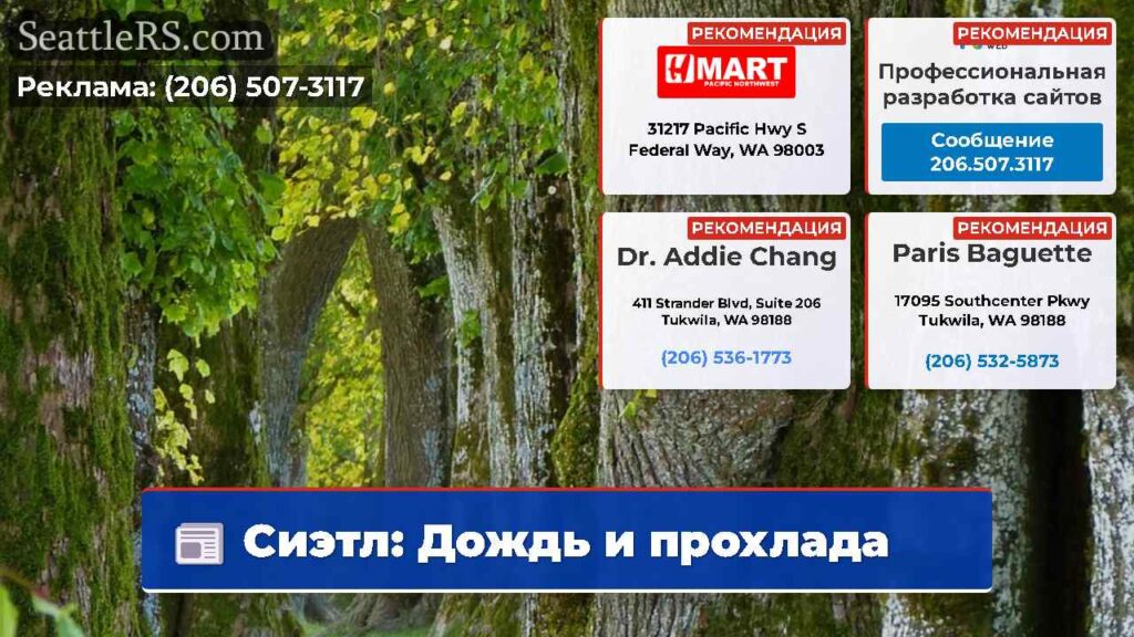 Сиэтл: Дождь и прохлада