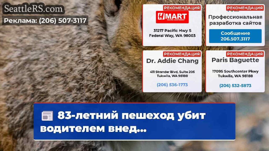 83-летний пешеход убит водителем внед...