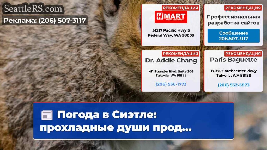 Погода в Сиэтле: прохладные души прод...