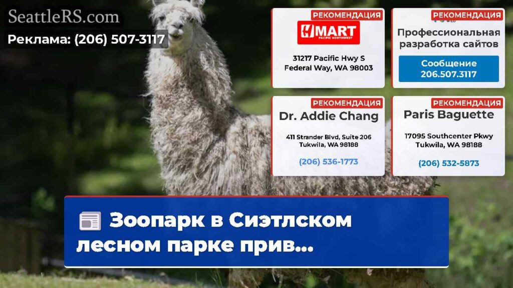 Зоопарк в Сиэтлском лесном парке прив...