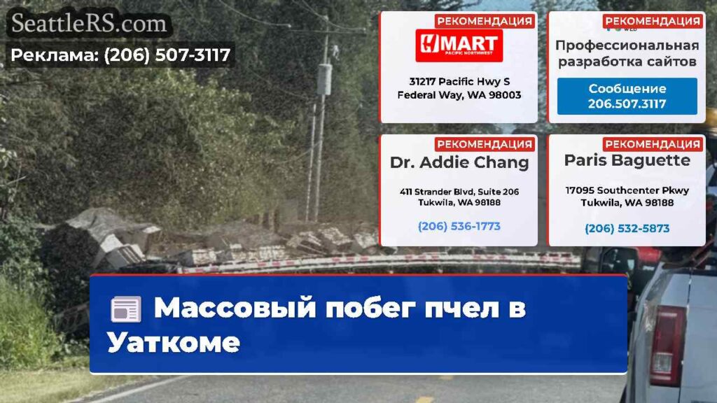 Массовый побег пчел в Уаткоме