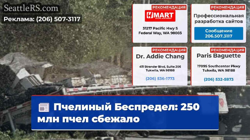 Пчелиный Беспредел: 250 млн пчел сбежало