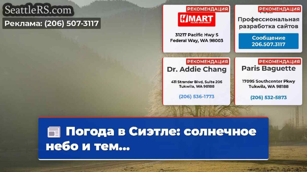 Погода в Сиэтле: солнечное небо и тем...