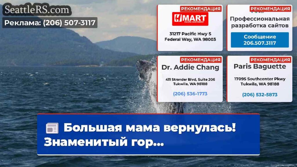 Большая мама вернулась!Знаменитый гор...
