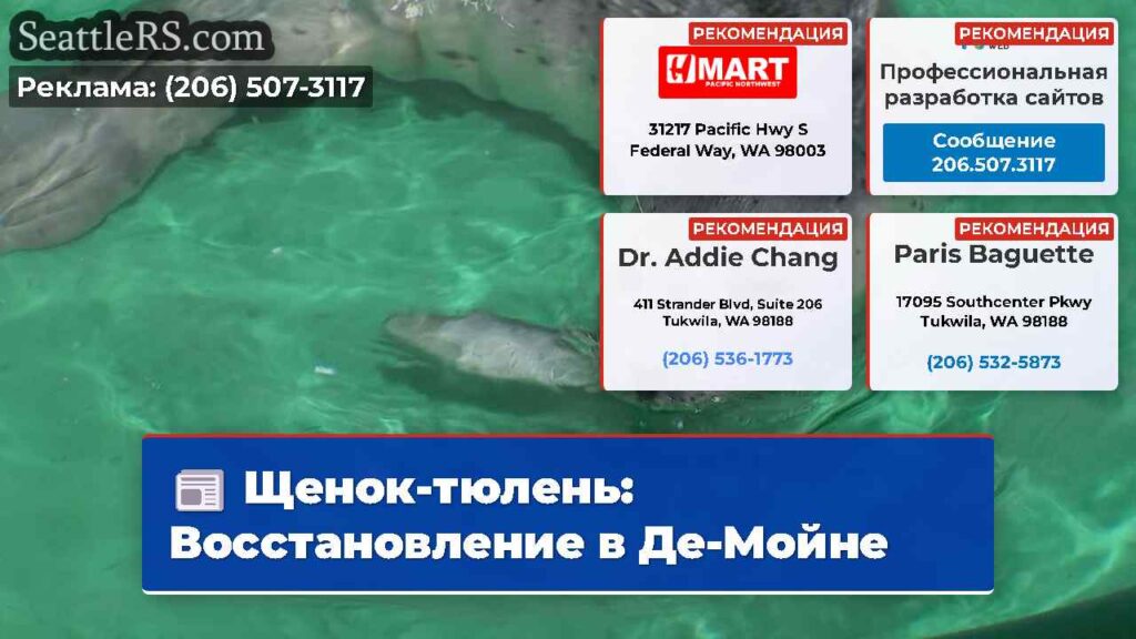 Щенок-тюлень: Восстановление в Де-Мойне