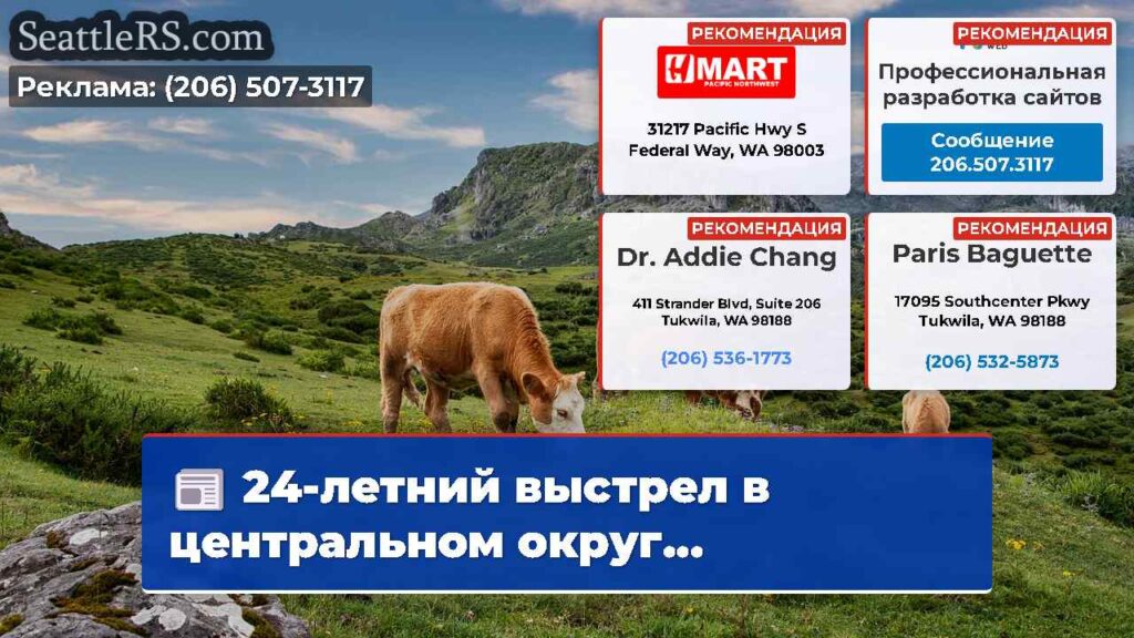 24-летний выстрел в центральном округ...