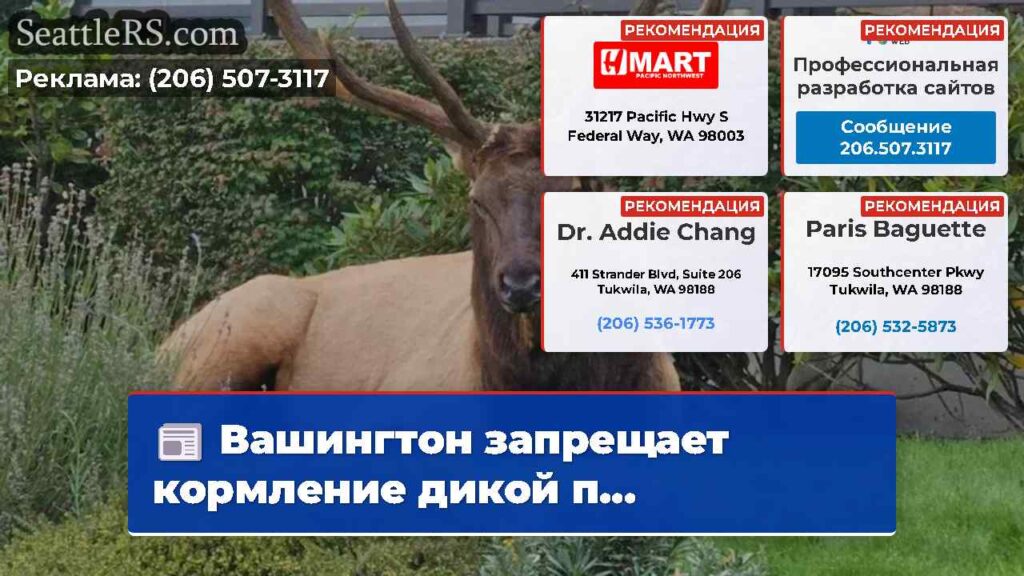 Вашингтон запрещает кормление дикой п...