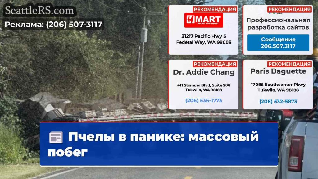 Пчелы в панике: массовый побег