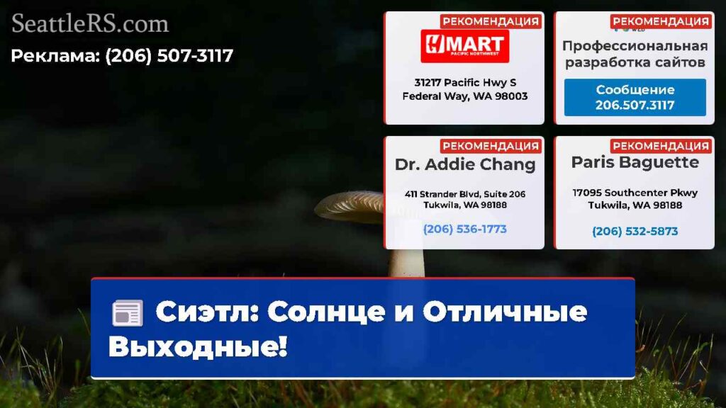 Сиэтл: Солнце и Отличные Выходные!