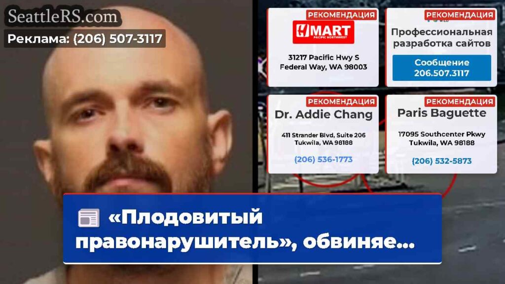 «Плодовитый правонарушитель», обвиняе...
