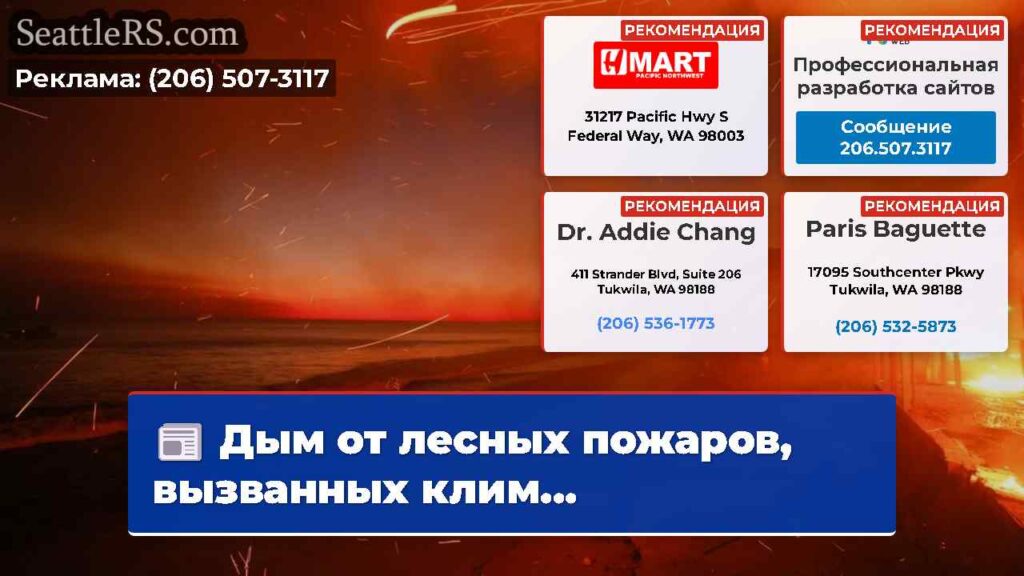 Дым от лесных пожаров, вызванных клим...