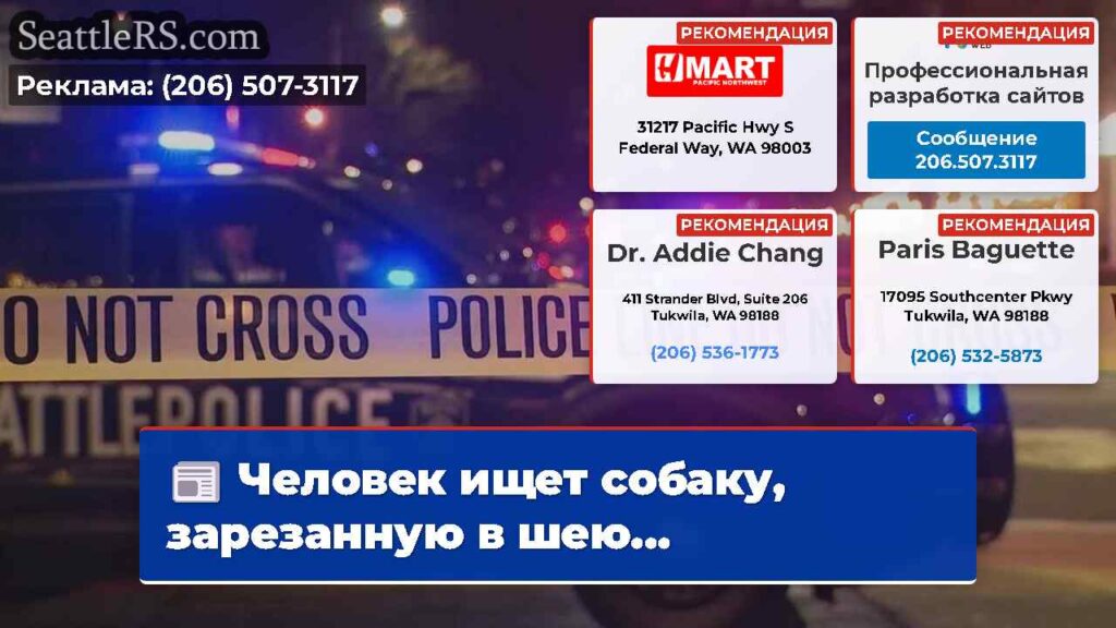Человек ищет собаку, зарезанную в шею...