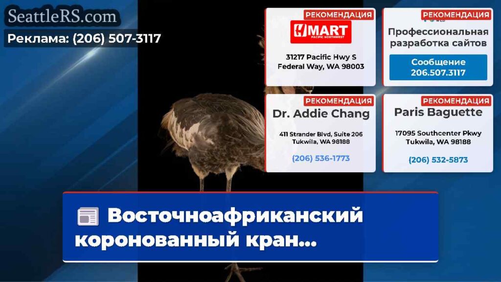 Восточноафриканский коронованный кран...