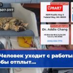 Человек уходит с работы чтобы отплыт…