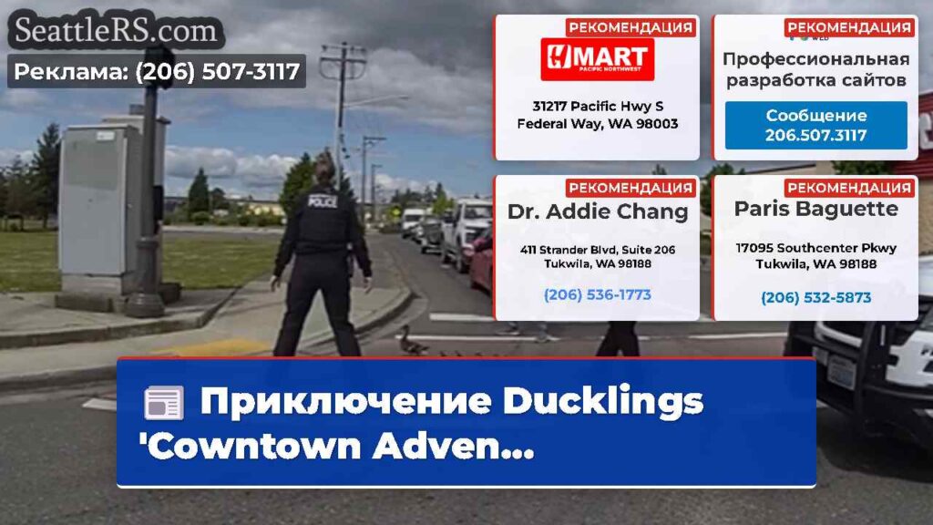 Приключение Ducklings 'Cowntown Adven...
