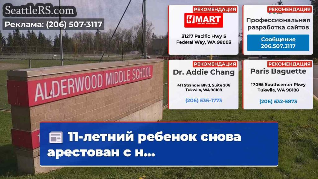 11-летний ребенок снова арестован с н...