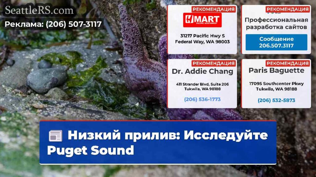 Низкий прилив: Исследуйте Puget Sound