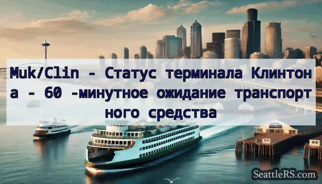 Muk/Clin - Статус терминала Клинтона - 60