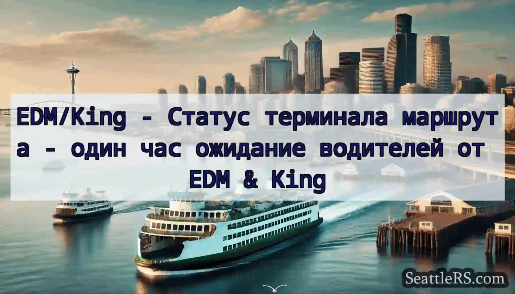 EDM/King - Статус терминала маршрута - один час