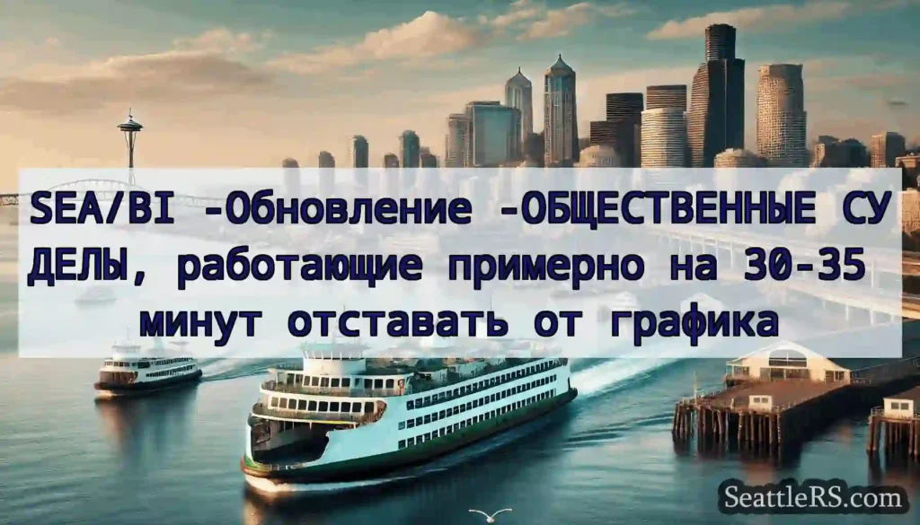 SEA/BI -Обновление -ОБЩЕСТВЕННЫЕ СУДЕЛЫ,
