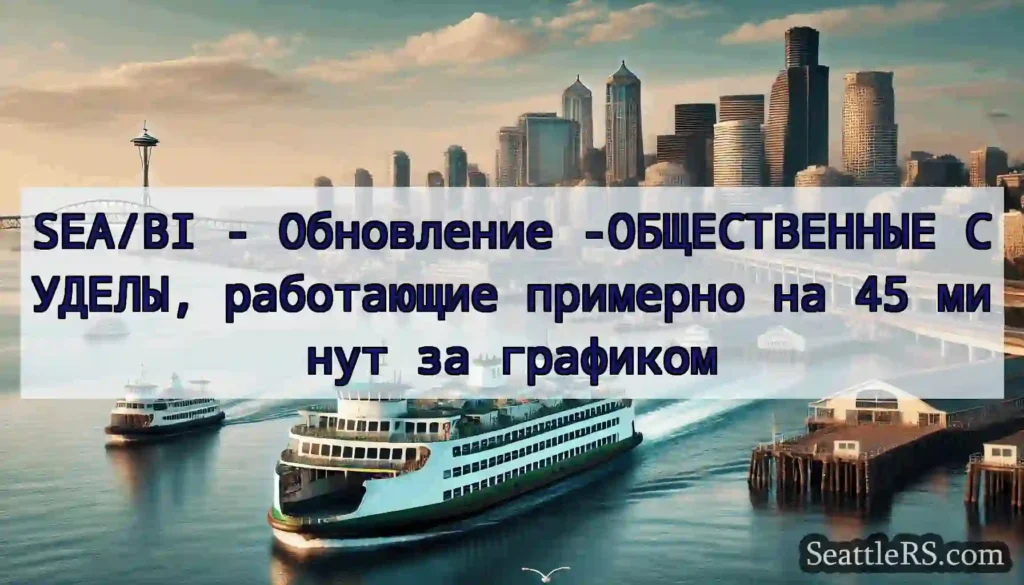 SEA/BI - Обновление -ОБЩЕСТВЕННЫЕ СУДЕЛЫ,