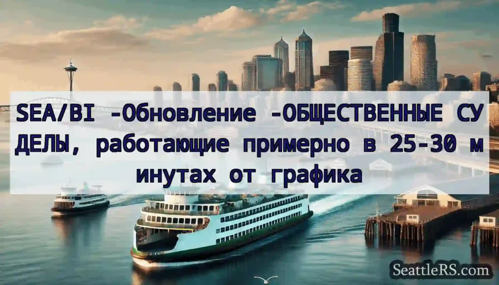 SEA/BI -Обновление -ОБЩЕСТВЕННЫЕ СУДЕЛЫ,