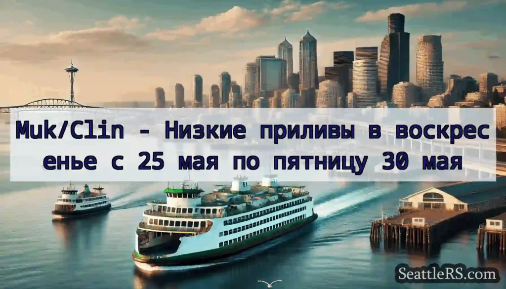 Muk/Clin - Низкие приливы в воскресенье с 25 мая