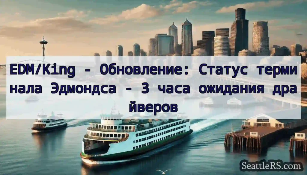 EDM/King - Обновление: Статус терминала Эдмондса