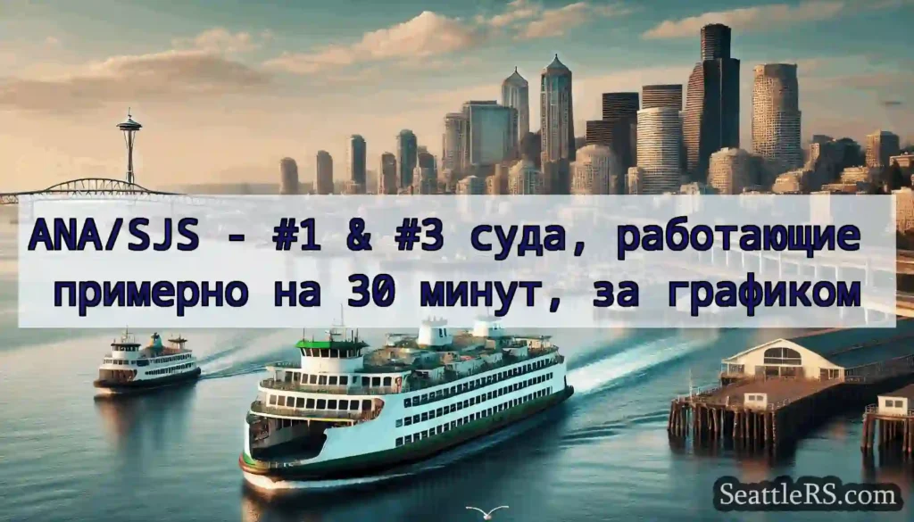 ANA/SJS - #1 & #3 суда, работающие примерно на 30