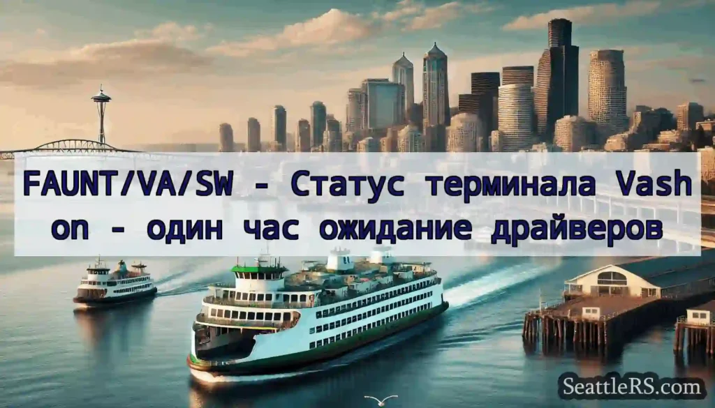 FAUNT/VA/SW - Статус терминала Vashon - один час