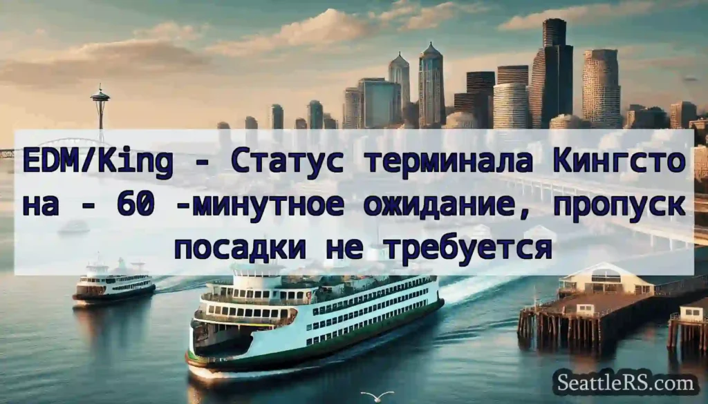 EDM/King - Статус терминала Кингстона - 60