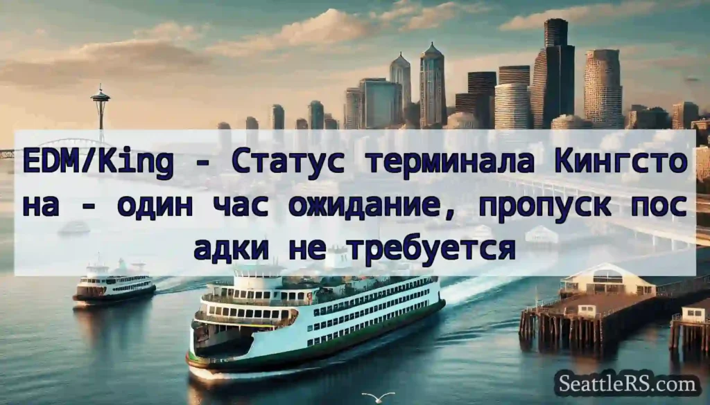 EDM/King - Статус терминала Кингстона - один час