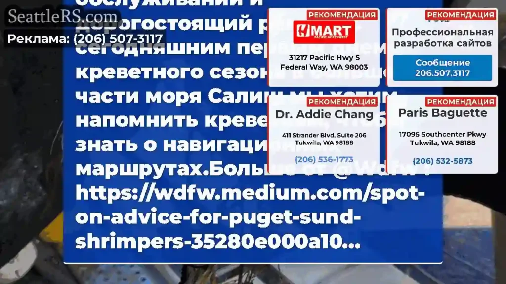 Рыбалка и снаряжение для снаряжения могут