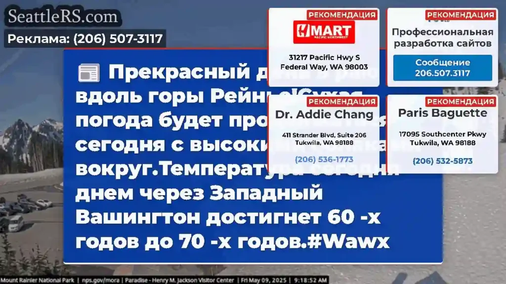 Прекрасный день в раю вдоль горы Рейнье!Сухая