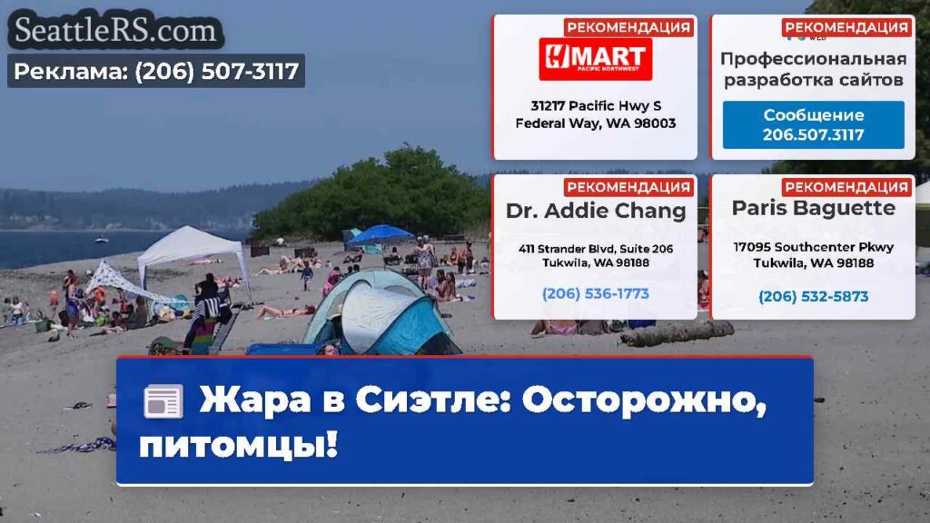 Жара в Сиэтле: Осторожно, питомцы!