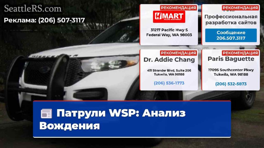 Патрули WSP: Анализ Вождения