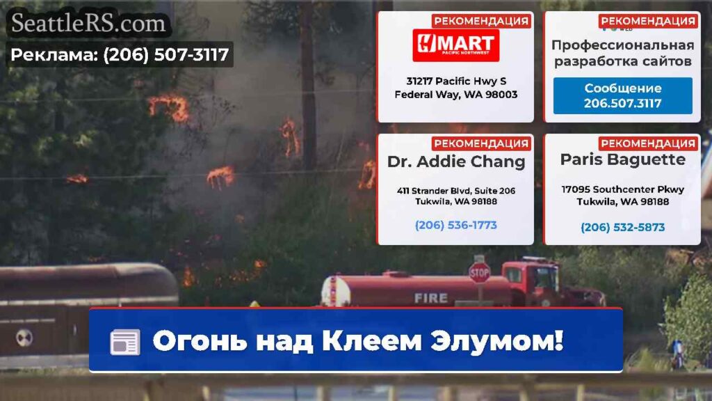 Огонь над Клеем Элумом!