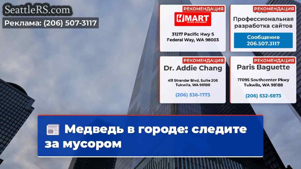 Медведь в городе: следите за мусором