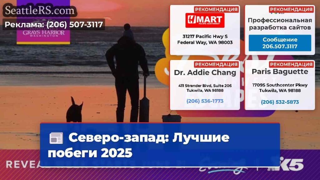 Северо-запад: Лучшие побеги 2025