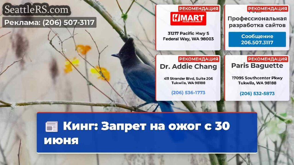Кинг: Запрет на ожог с 30 июня